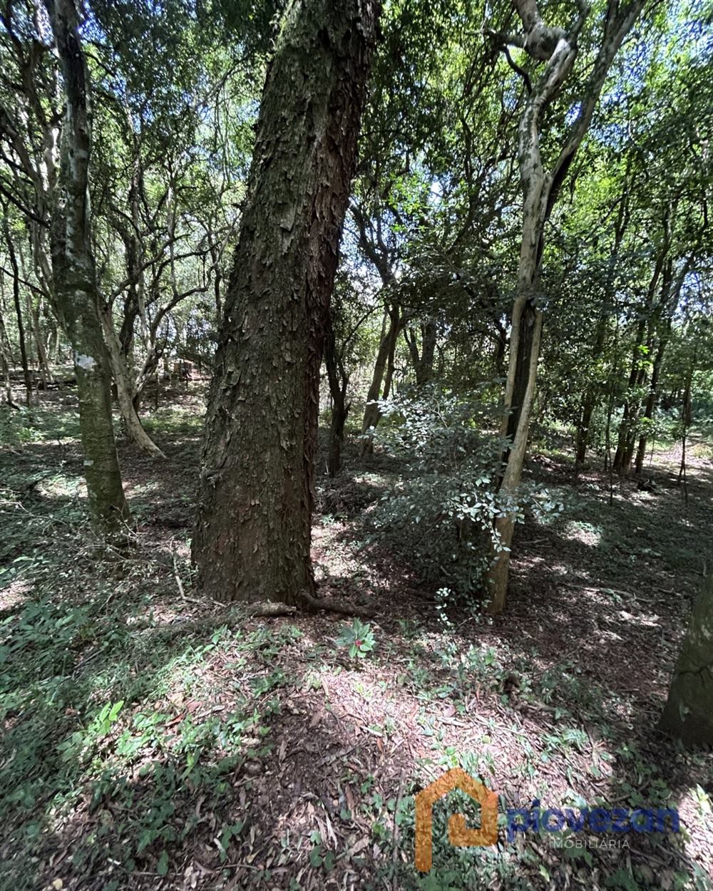 Chácara à venda com 1.960 m² – foto 5