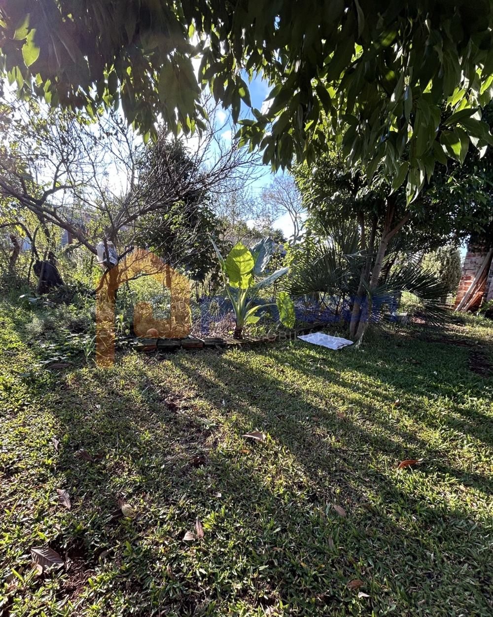 Área à venda com 9.000 m² – foto 8