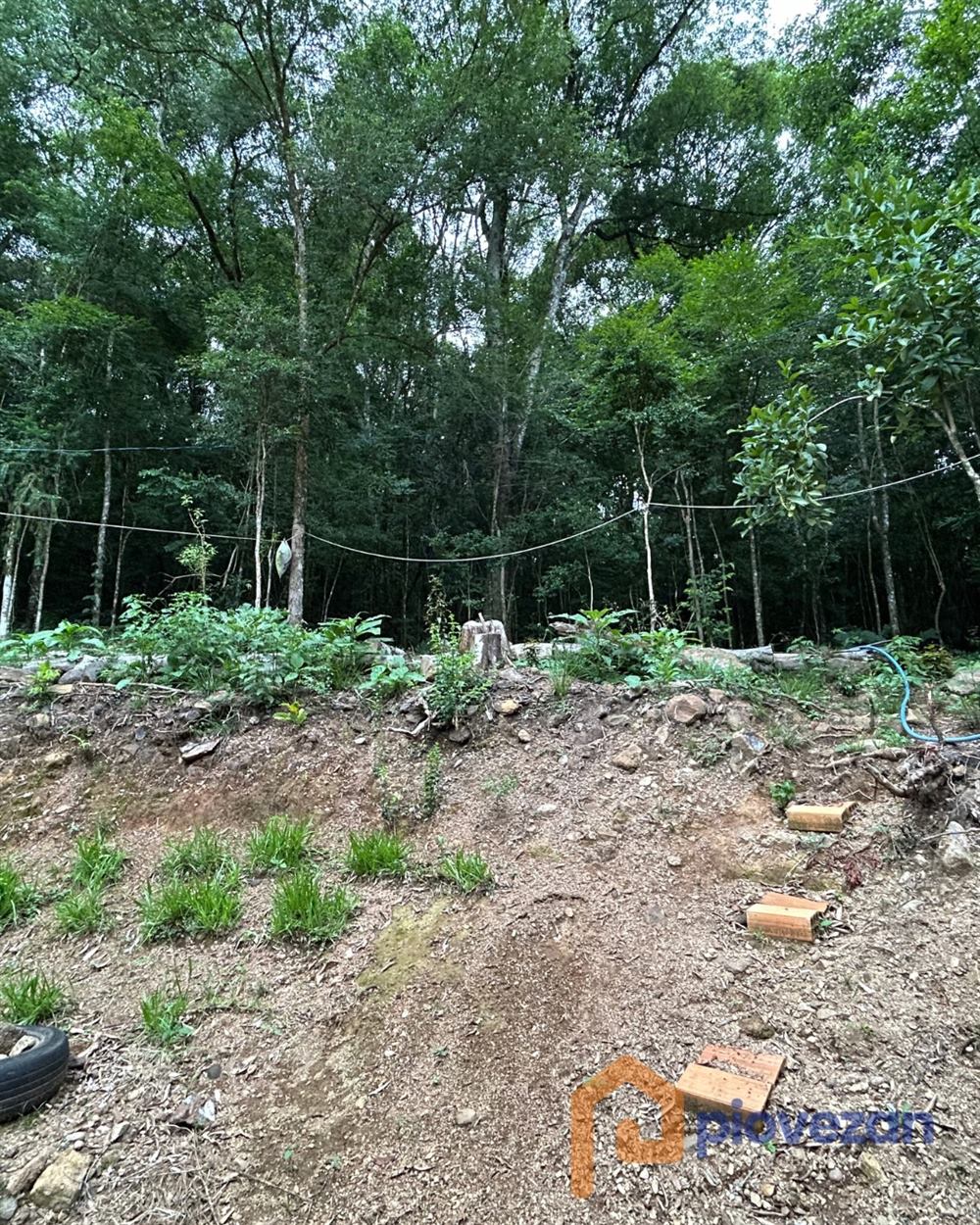 Imóvel rural à venda com 30.000 m² e 2 quartos – foto 2