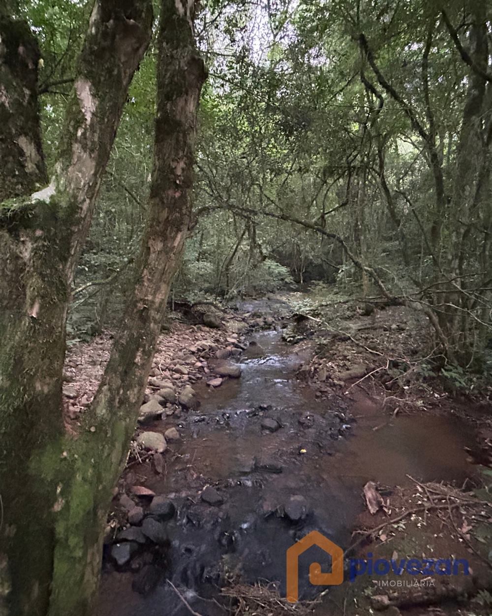 Imóvel rural à venda com 30.000 m² e 2 quartos – foto 4