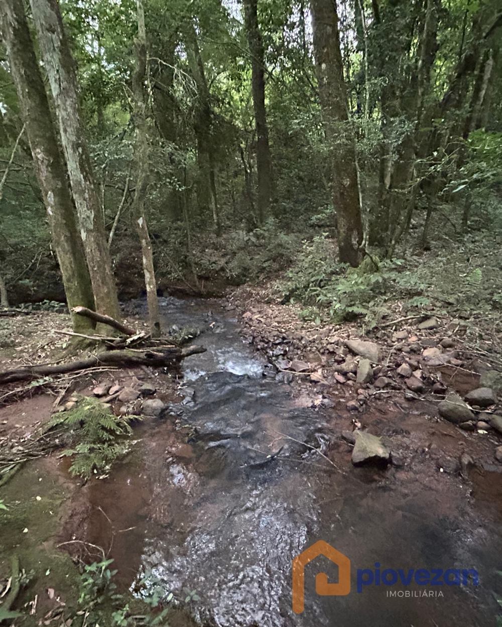 Imóvel rural à venda com 30.000 m² e 2 quartos – foto 5