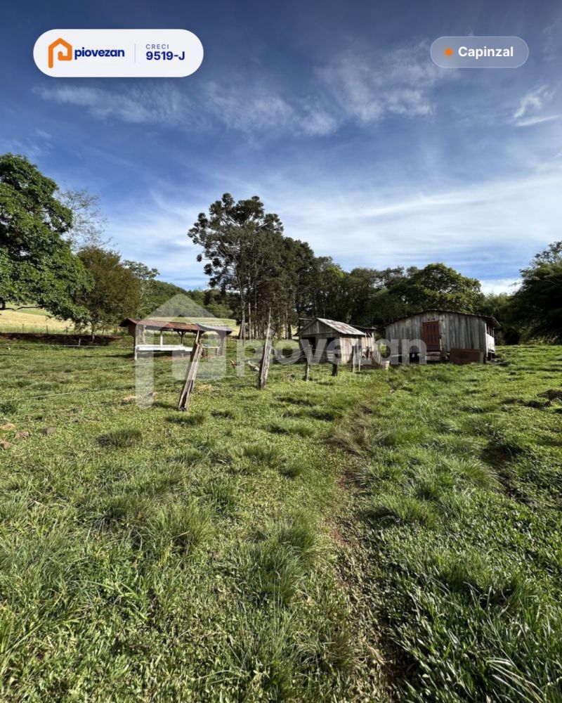 Sítio à venda com 45738 m² e 3 quartos – foto 19