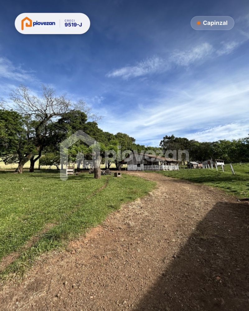 Sítio à venda com 45738 m² e 3 quartos – foto 9