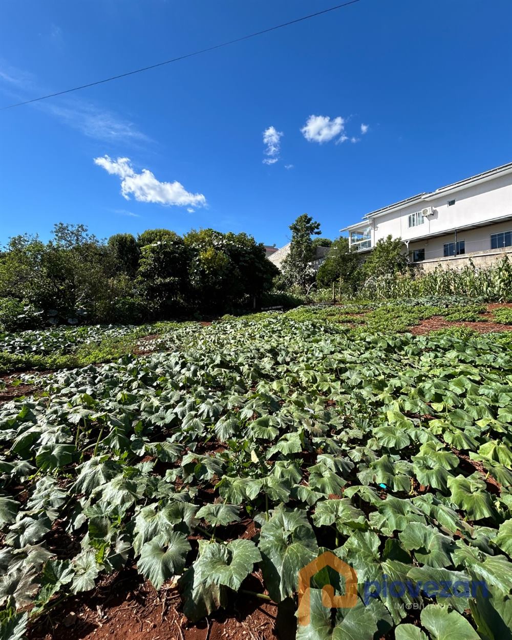 Terreno à venda com 380 m² – foto 2