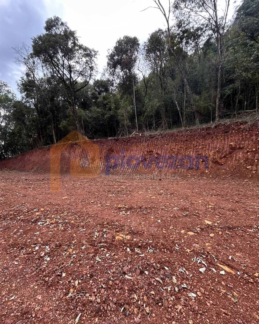 Terreno à venda com 13.000 m² – foto 4