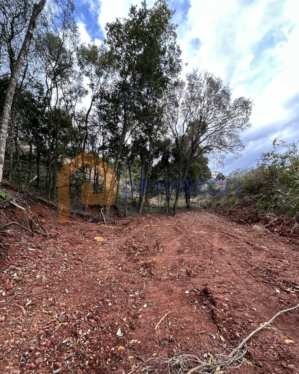 Terreno à venda com 13.000 m² – foto 7