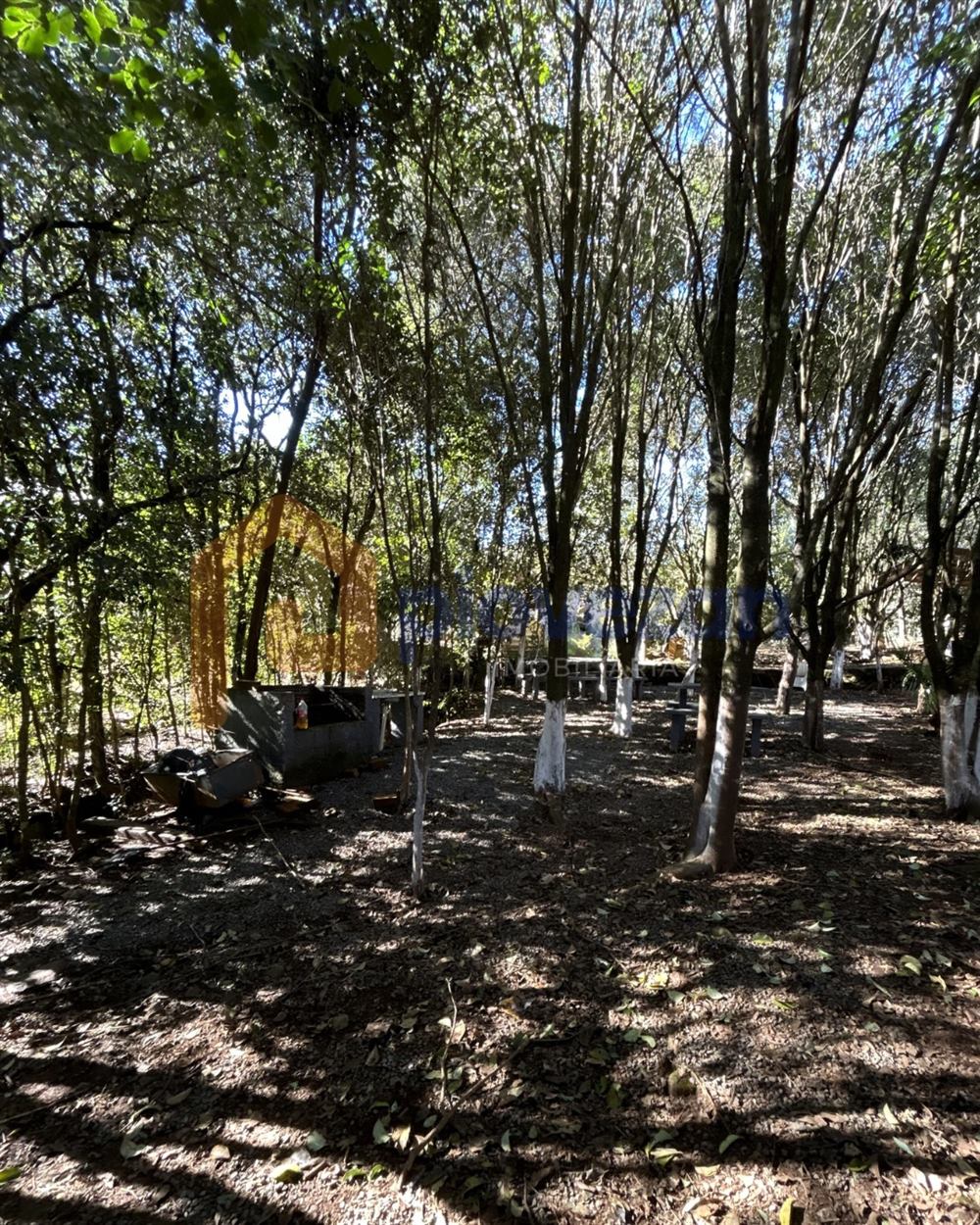 Terreno à venda com 1.900 m² – foto 2