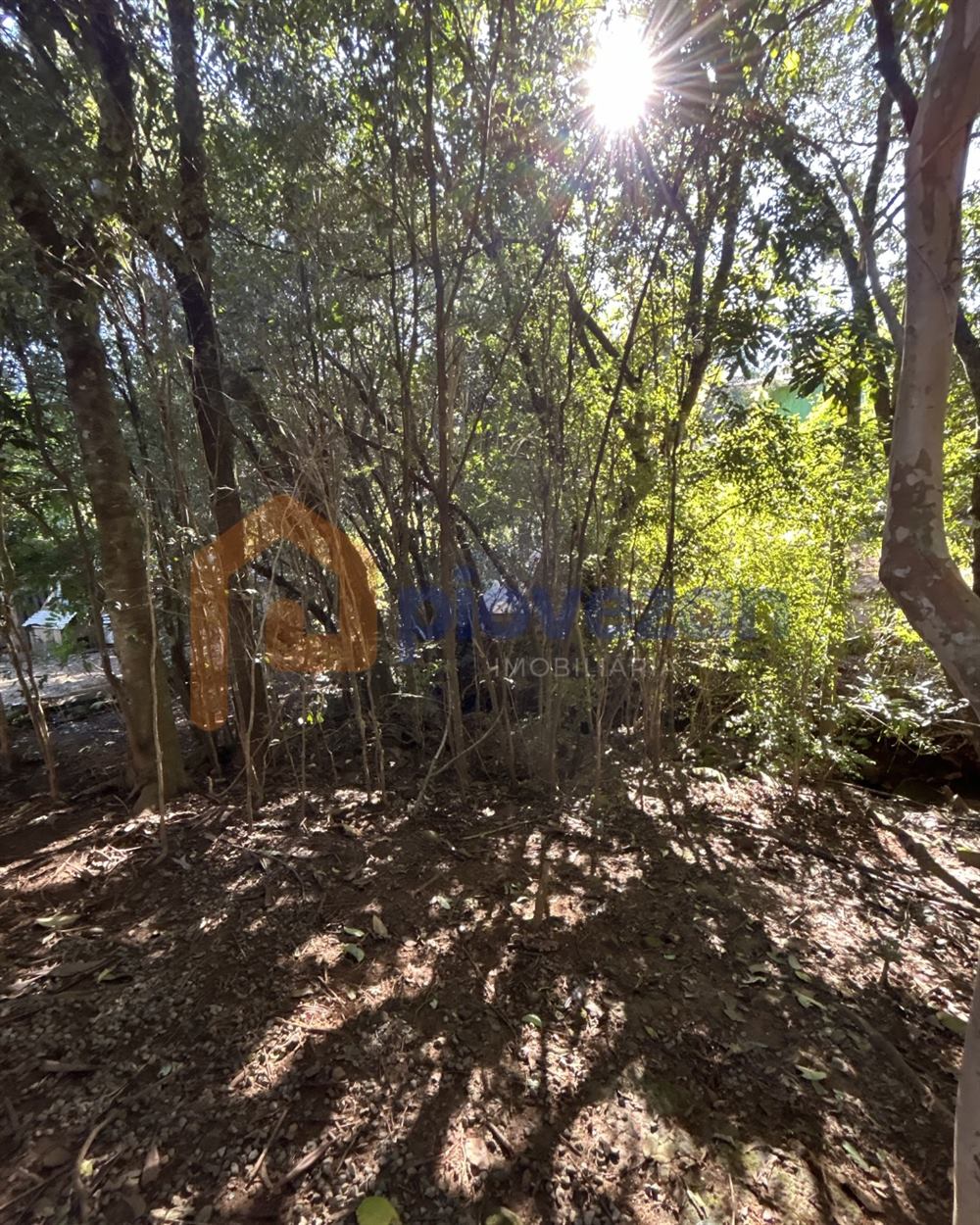 Terreno à venda com 1.900 m² – foto 3