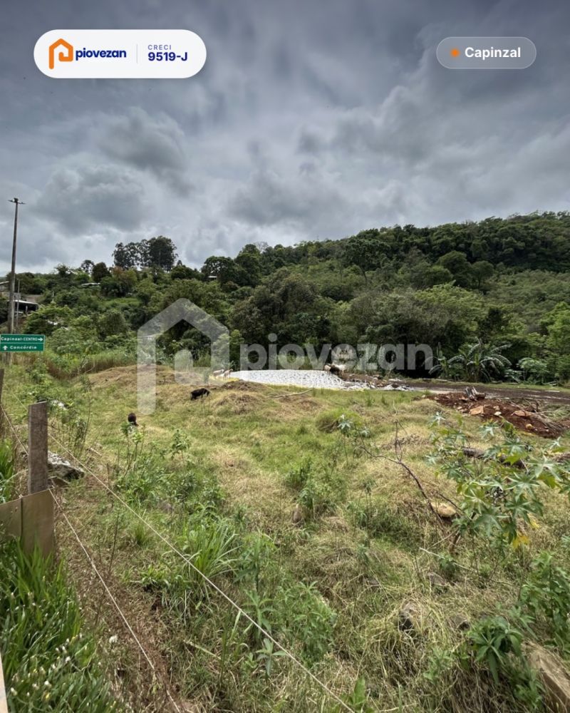 Terreno à venda com 3000 m² – foto 5