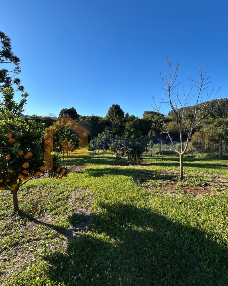 Terreno rural à venda com 13000 m² – foto 9