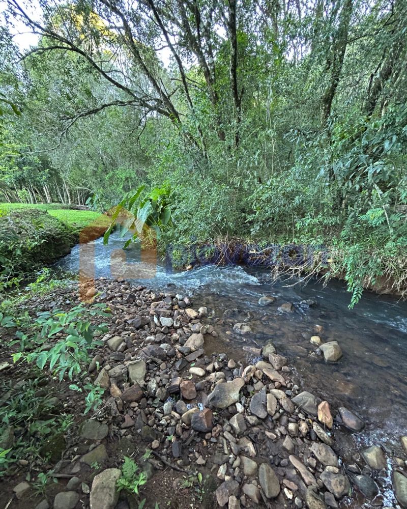 Terreno rural à venda com 13000 m² – foto 13