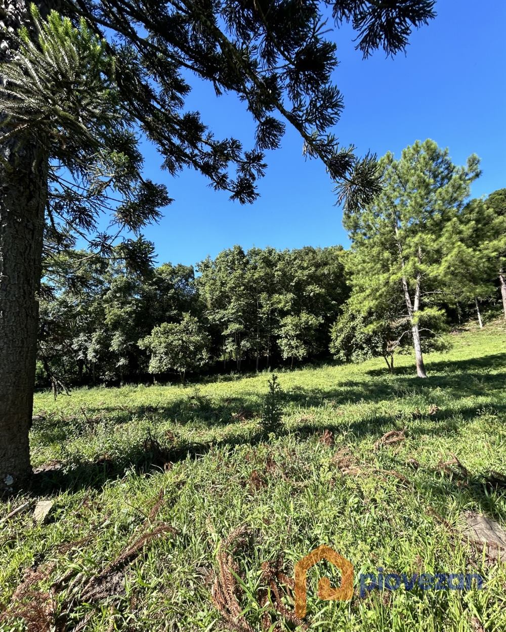 Área à venda com 218.000 m² – foto 10
