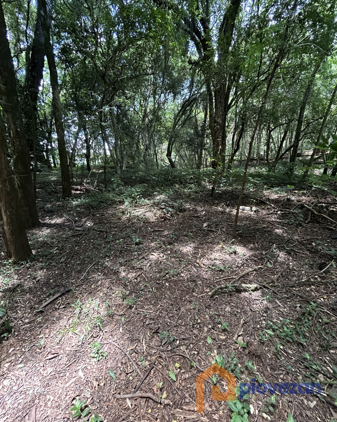 657726009_17929729899232624_8829534959524165140_n